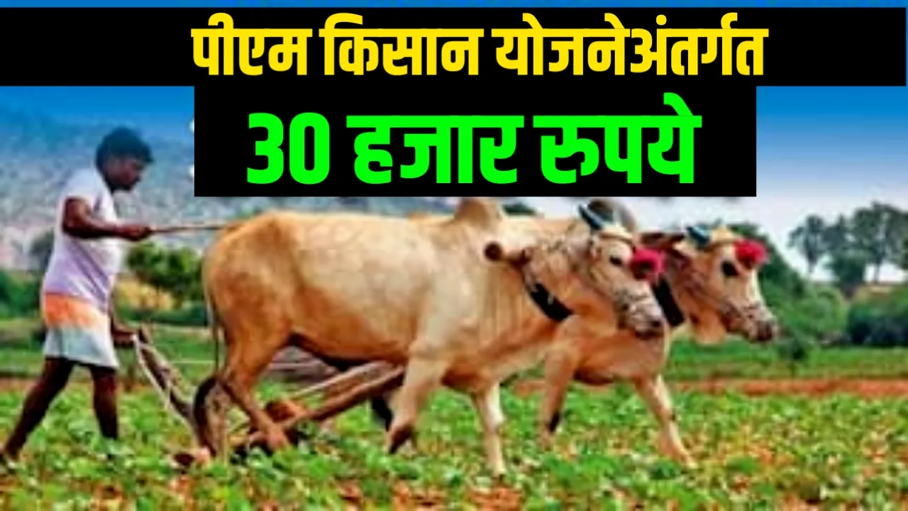 शेतकऱ्यांसाठी बंपर ऑफर: PM किसान आणि नमो शेतकरी योजना एकत्र, खात्यात रु.३०,००० जमा होणार! Farmer Schems Status